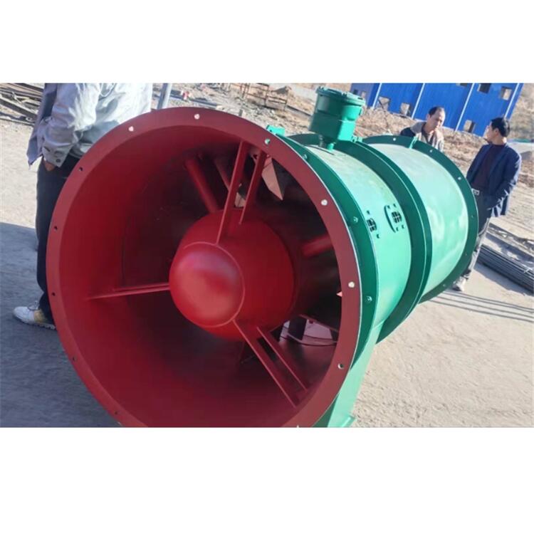 廠家直銷工程風機